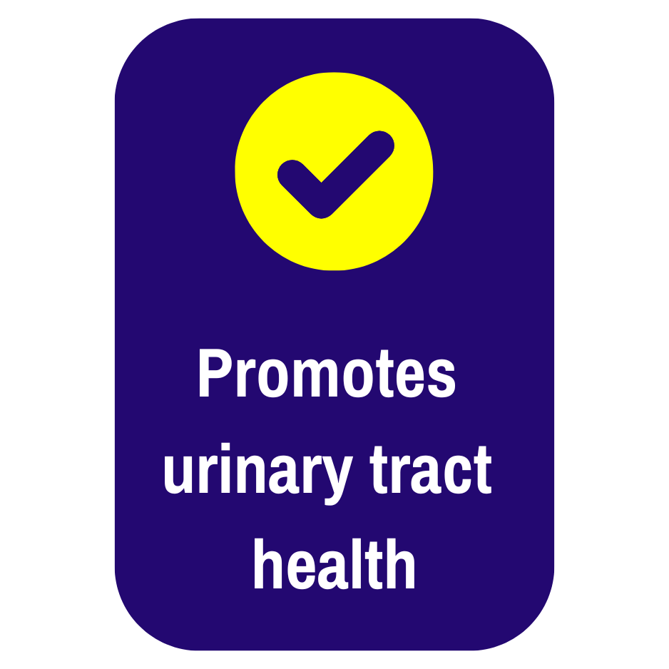 Promote Urinary Tract Health.png__PID:df0d5e0d-8a4d-4f8e-aa99-718af11a5b7d