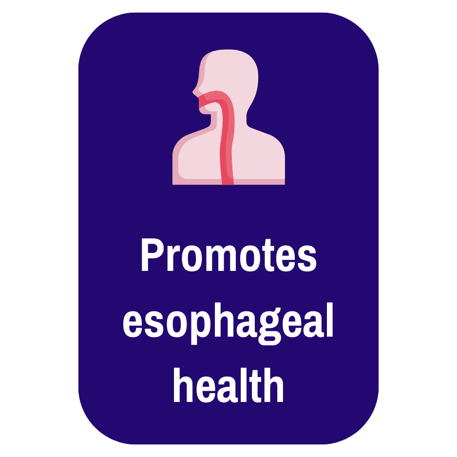 Promotes Esophageal Health.png__PID:0d5e0d8a-4d8f-4e6a-9971-8af11a5b7d43